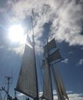IMG_3266.JPG