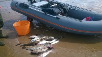 WP_20170827_003.jpg