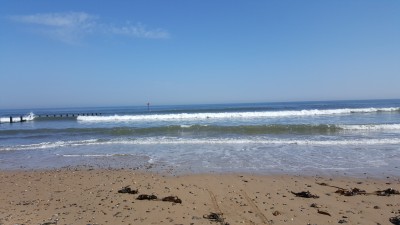 20190514_120931.jpg