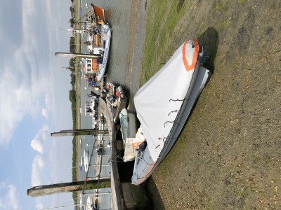IMG_0450.jpg