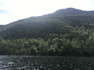 E3168229-F3E7-4BD2-B933-59B37DFF37D3.jpeg