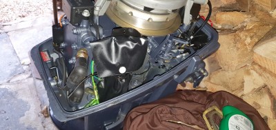 20201003_112905.jpg