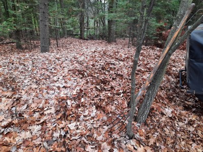 20201110_113458.jpg