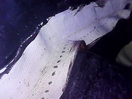 184135524_10223355501502999_5665620681728320145_n.jpg
