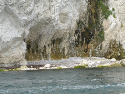 P1010666.JPG