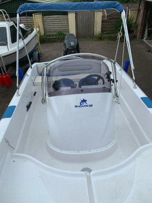 shark9.jpg