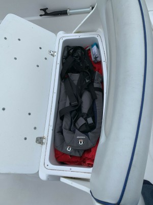 shark12.jpg