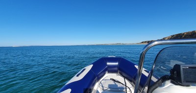 20220709_083607.jpg