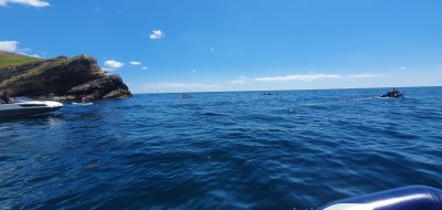 20220709_131802.jpg