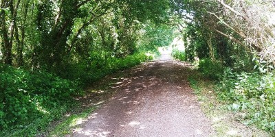 CycleTrail.jpg