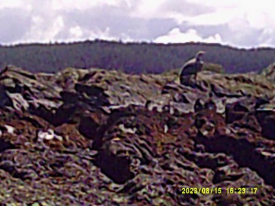 2023_08_15_16_23_17.JPG