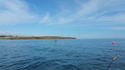 2016-08-15 13.19.10.jpg
