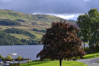 DSC_0070.JPG