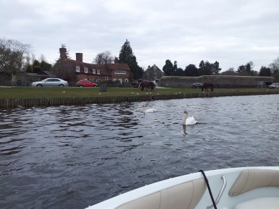 20130329_135110.jpg