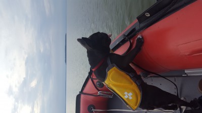 IMG_0367.JPG