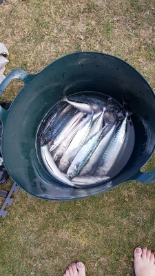 IMG-20170304-WA0005.jpg