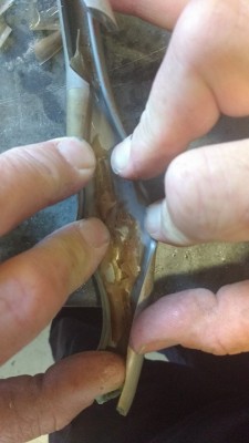 Merc fuel hose3.jpg