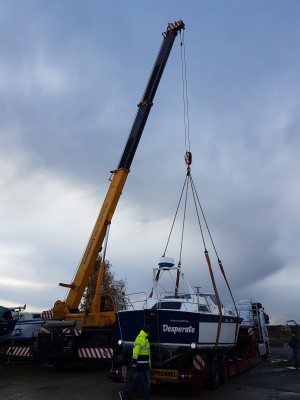 crane 1.jpg
