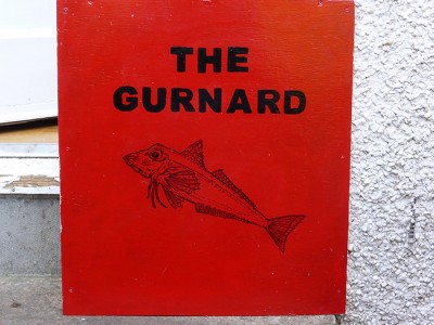 gurnard1.jpg