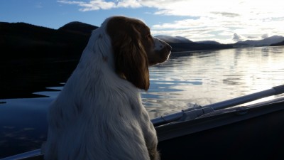 20180111_134439.jpg