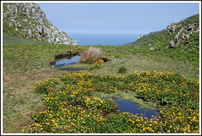 Ailsa_Craig_7.jpg