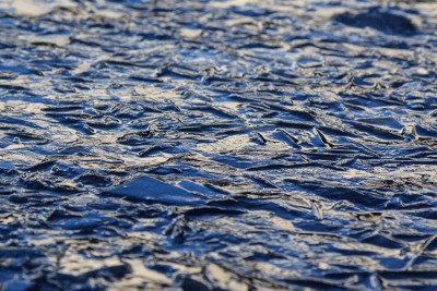 20150119-IMG_5310DEW.jpg