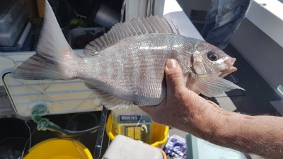 20180505_122238.jpg