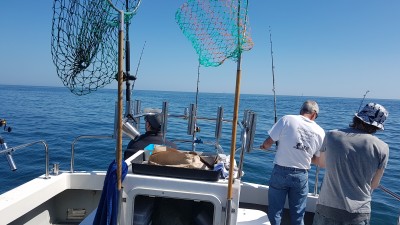 20180505_150056.jpg