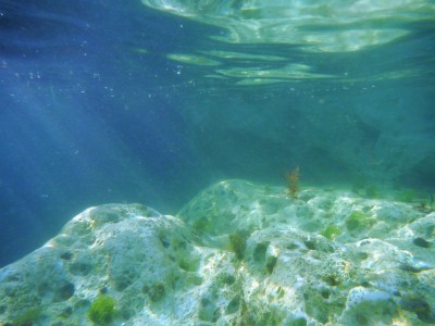 DSCF3106.JPG