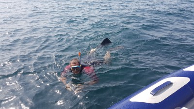 20180807_122736.jpg