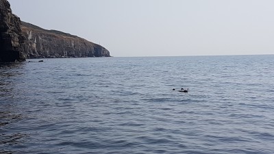St-Aldhelm's-Head.jpg (1.99 MiB) Viewed 2262 times St-Aldhelm's-Head.jpg
