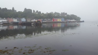 20180814_172455.jpg